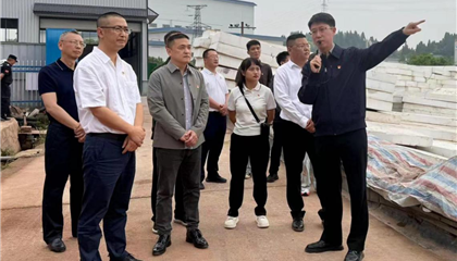 興業(yè)集團黨委開展“黨建引領(lǐng)聚合力 攻堅克難顯擔當”主題黨日暨現(xiàn)場教學活動